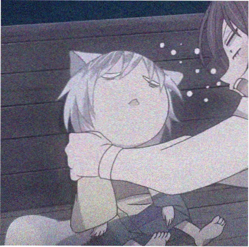 读者冬青头像